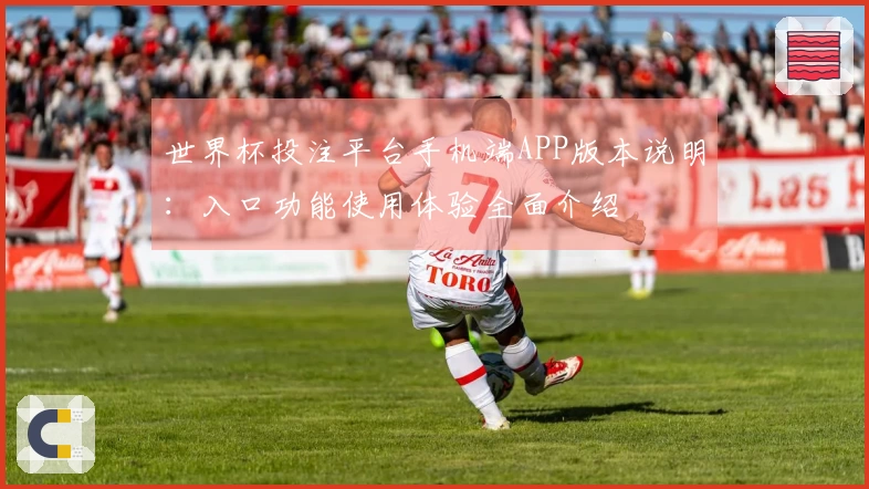 世界杯投注平台手机端APP版本说明：入口功能使用体验全面介绍