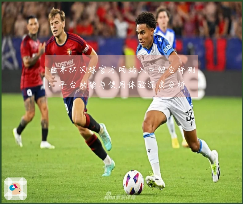 世界杯买球官方网站入口综合评测：平台功能与使用体验深度分析