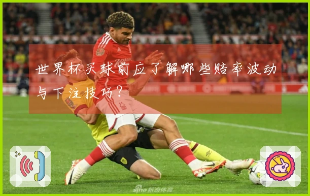 世界杯买球前应了解哪些赔率波动与下注技巧？