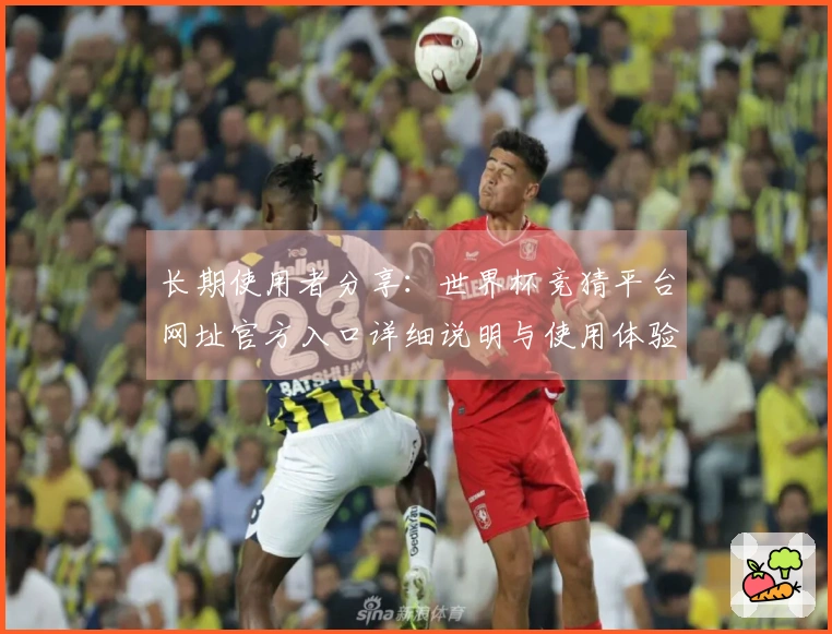 长期使用者分享：世界杯竞猜平台网址官方入口详细说明与使用体验