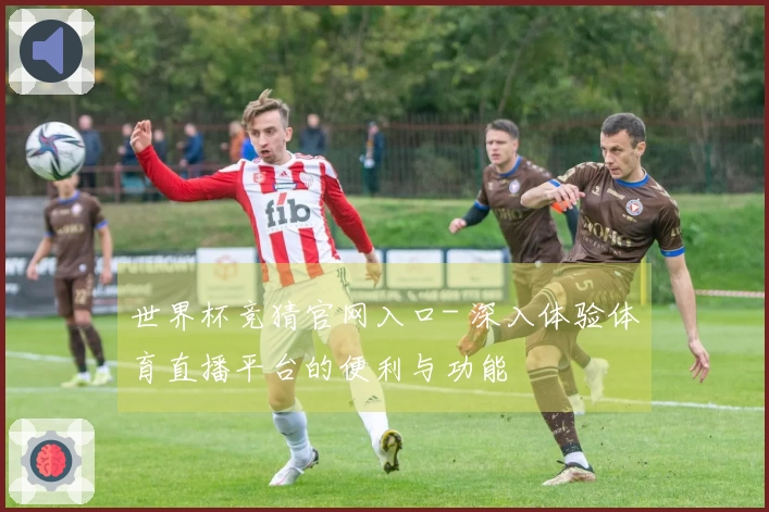 世界杯竞猜官网入口- 深入体验体育直播平台的便利与功能