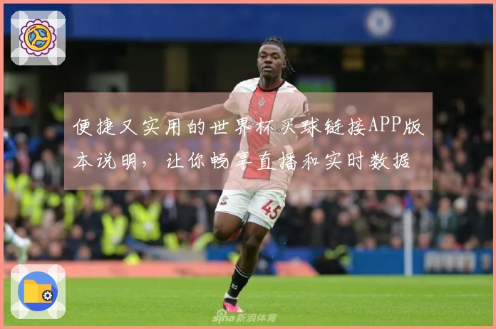 便捷又实用的世界杯买球链接APP版本说明，让你畅享直播和实时数据更新