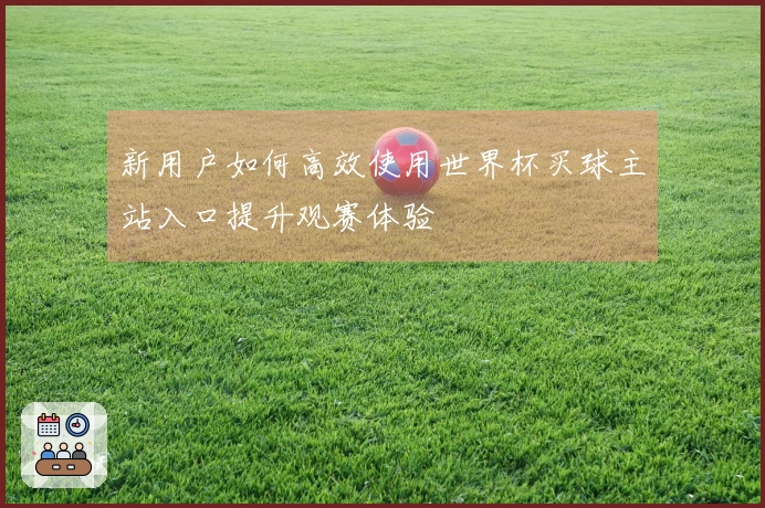 新用户如何高效使用世界杯买球主站入口提升观赛体验