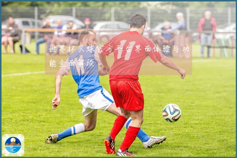世界杯买球官方平台界面体验与功能全面解读
