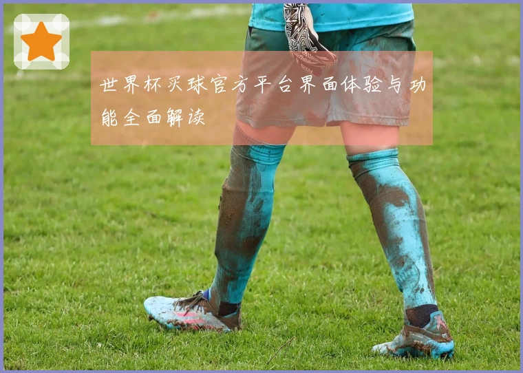 世界杯买球官方平台界面体验与功能全面解读