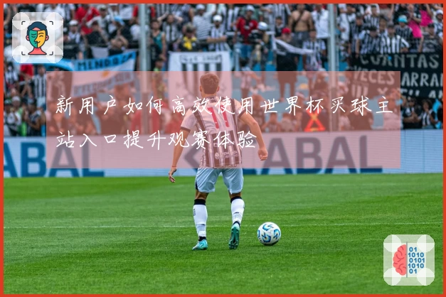 新用户如何高效使用世界杯买球主站入口提升观赛体验