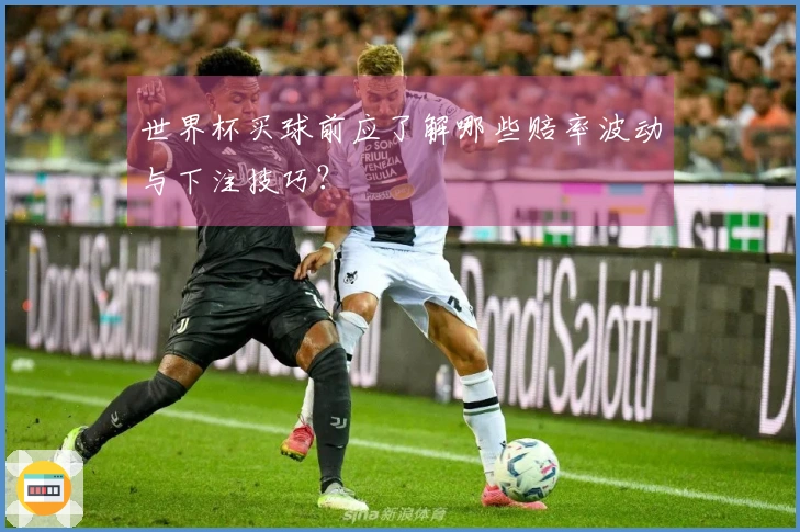 世界杯买球前应了解哪些赔率波动与下注技巧?